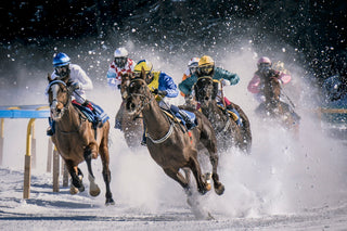 a group of men riding on the backs of horses