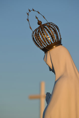 Discover the Miracles of Our Lady Revealed - Catholic Shop