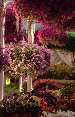 a bunch of flowers that are hanging from a pole