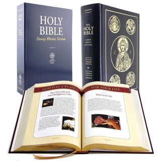 Bibles
