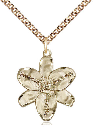 14kt Gold Chastity Medal