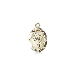 14kt Gold Saint Francis Medal