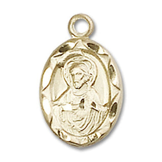 14kt Gold Filled Scapular Medal