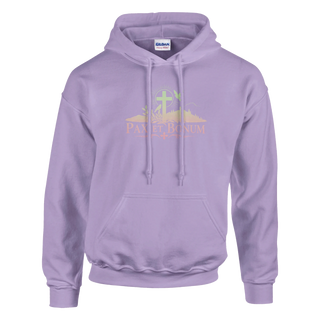 Pax et Bonum Gradient Hoodie - view 4