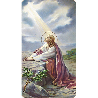 Christ In The Garden Holy Card