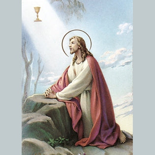 100-Pack - Christ In The Garden Holy Card