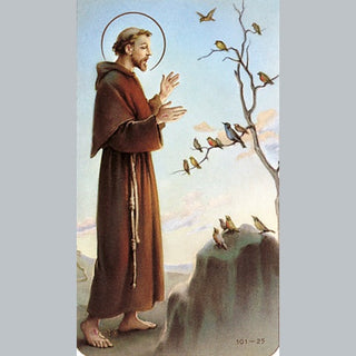 100-Pack - St Francis Of Assisi Holy Card