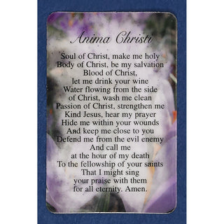 Bulk Anima Christi Prayer Cards