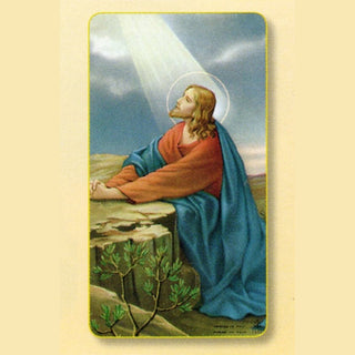 Christ In The Garden Holy Card - 100-Pack