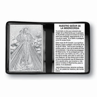 Divine Mercy Pocket Folder Spanish 10-Pack