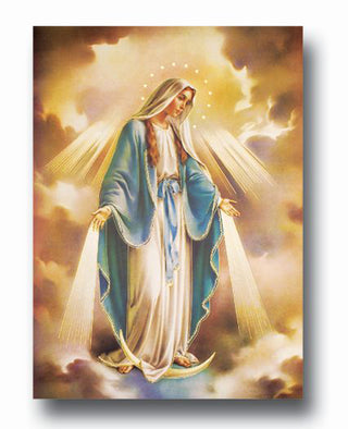 Lady Of Grace Poster 19X27