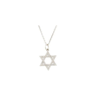 Platinum 1/5 CTW Natural Diamond Star of David Necklace 