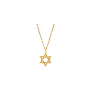 24K Yellow Gold-Plated Sterling Silver 28.8x22.62 mm Star of David 24" Necklace 