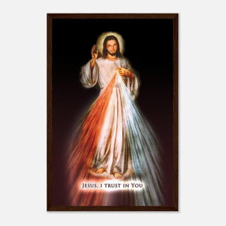 Divine Mercy Framed Print - view 20