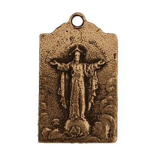 Vintage Bronze Grotto Madonna Medal with Two Shields — reverse
