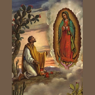100-Pack - Sr Juan Diego with Our Lady Guadalupe Holy Card