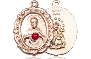 14kt Gold Filled Scapular with Ruby Stone Pendant with a 3mm Ruby Swarovski stone on an 18-inch Gold Filled Light Curb Chain