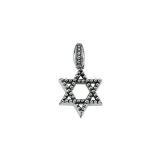 14K White 20.75x18 mm Star of David Pendant