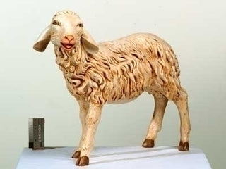50" Standing Sheep With Head
