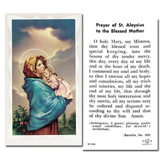 100-Pack - Madonna Of The Street With Prayer Holy Card