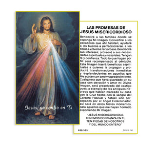 100-Pack - N.S.De La Misericordia Holy Card