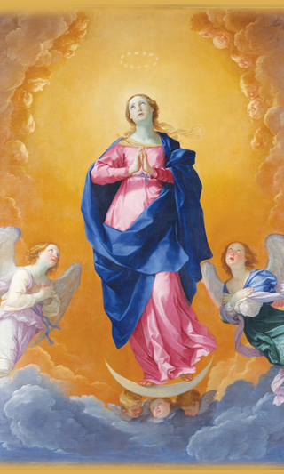 Immaculate Conception Stickers - 5-Pack