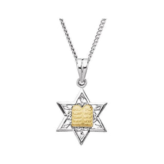 Sterling Silver & 14K Yellow Star of David 24" Necklace