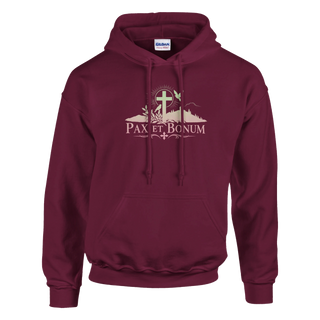 Pax et Bonum Gradient Hoodie - view 6