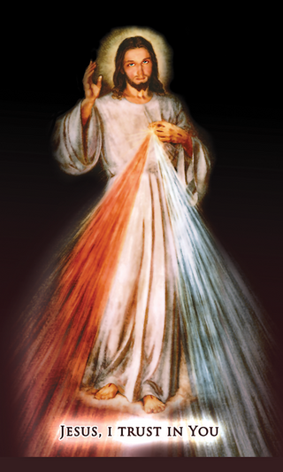 Divine Mercy Prayer Cards - 25-Pack