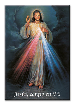 Divine Mercy 2"X3"Mini Postcard Mag Spanish 10-Pack