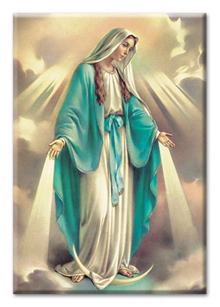 Our Lady Of Grace Magnet 2"X3" Postcard Magnets 10-Pack
