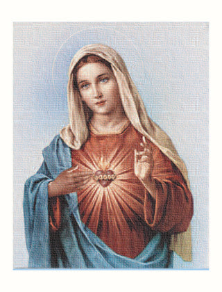 Immaculate Heart Of Mary 8X10 Canvas
