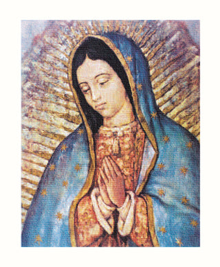 Our Lady Of Guadalupe 8X10 Canvas