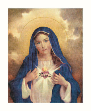 Immaculate Heart Of Mary 8X10 Canvas