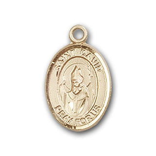 Gold-Filled Saint David of Wales Pendant