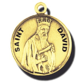 7/8-inch 14K Gold Round Saint Clare Medal