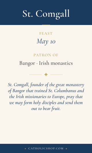 St. Comgall Holy Card