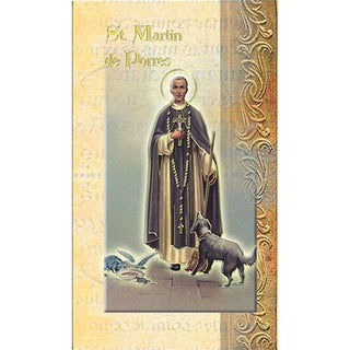 Biography Of St Martin De Porres