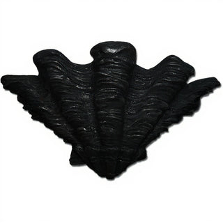 Shell Sconce Wall Sconce — Iron finish