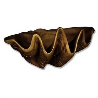 Clam Shell Planter — Bronze finish