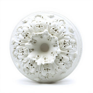 Bitner Estate Medallion Wall Medallion — Flat White finish