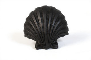 Napoli Shell Sconce - 12-inch — Iron finish