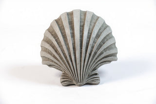 Napoli Shell Sconce - 12-inch — Old Stone finish