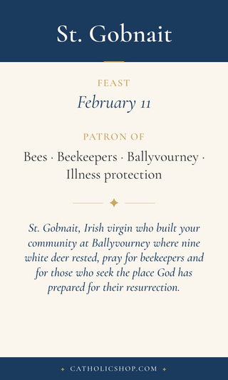 St. Gobnait Holy Cards