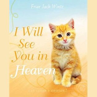 I Will See You in Heaven - CAT HC