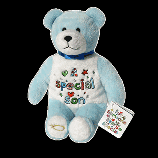 A Special Son Holy Bear