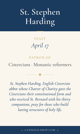 St. Stephen Harding Holy Cards