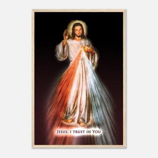 Divine Mercy Framed Print - view 9