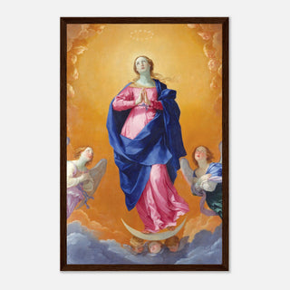 Immaculate Conception Framed Print - view 20